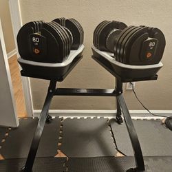 LifePro 80 Lb Adjustable Dumbbell Set And Stand