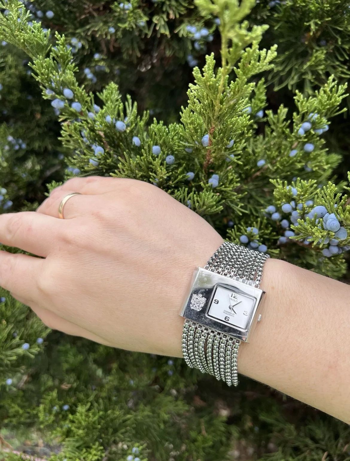 Paolo Watch Designed By Paolo Gucci. PG876WSIP.  Japan Movement. Quartz. Women’s