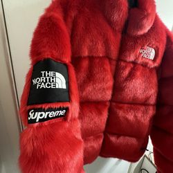 Supreme x The North Face Faux Fur Nuptse Jacket 'Red' for Sale in  Scottsdale, AZ - OfferUp