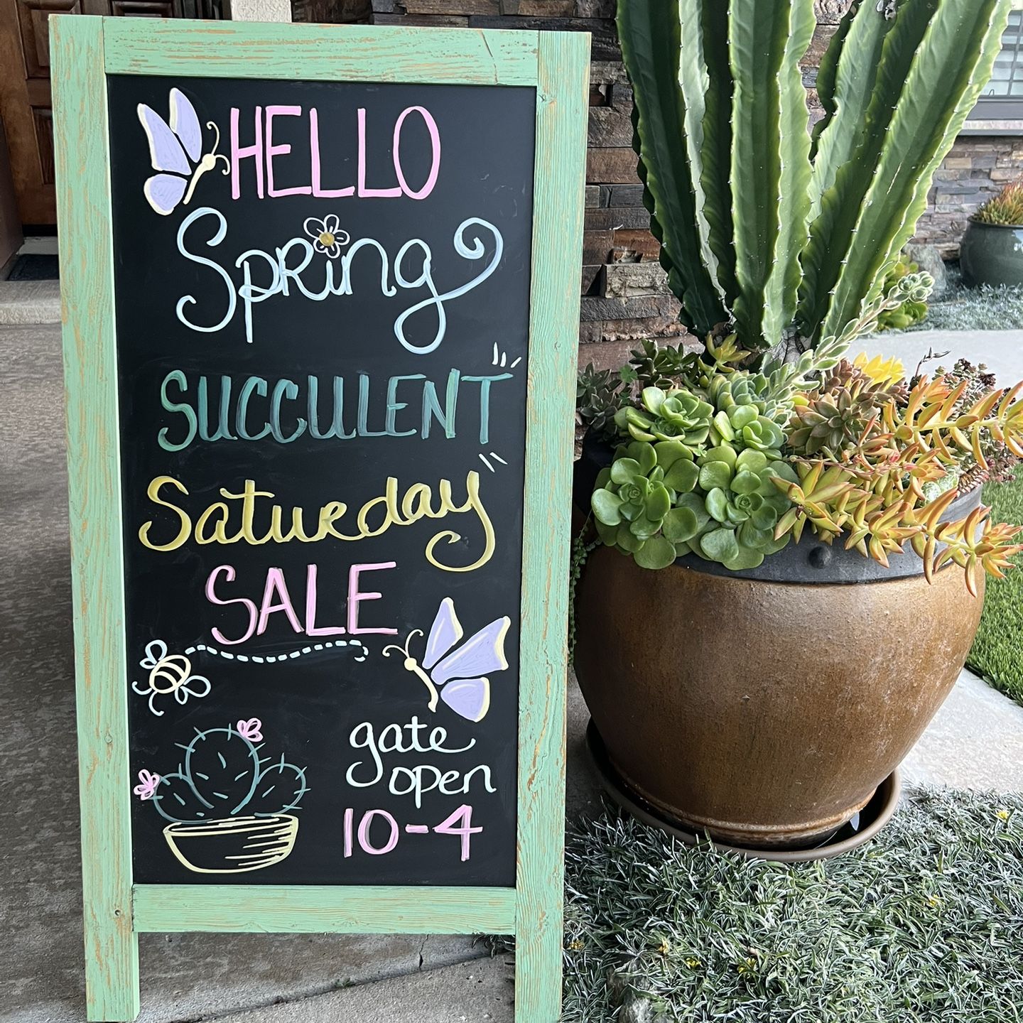 4-4-26 🌵🌸 SPRING FEVER 🦋🐝 Succulent Saturday SALE!