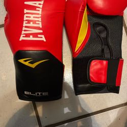 Everlast Pro Style Elite Gloves