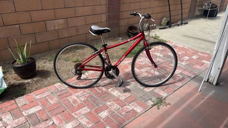 Hybrid Bike