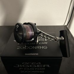 Ocean Jigger F-Custom 2000NRHG