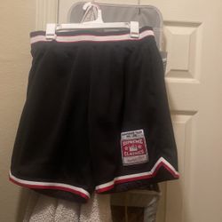 Supreme Shorts 