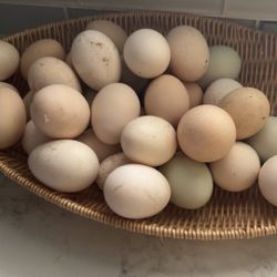 Eggs