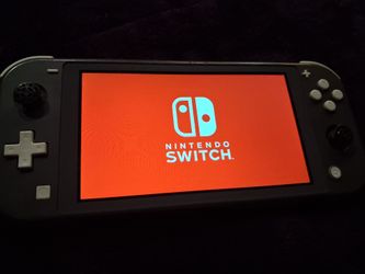 Nintendo switch lite (read below)