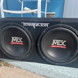 MTX 2 12” Subs