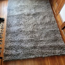 5.2 X 7.2 Luxurios Shag Area Rug Hemme Great Condition 