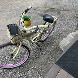Beach cruiser