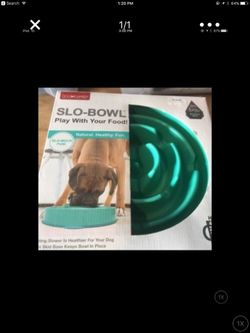 Slow feeder bowl for dogs