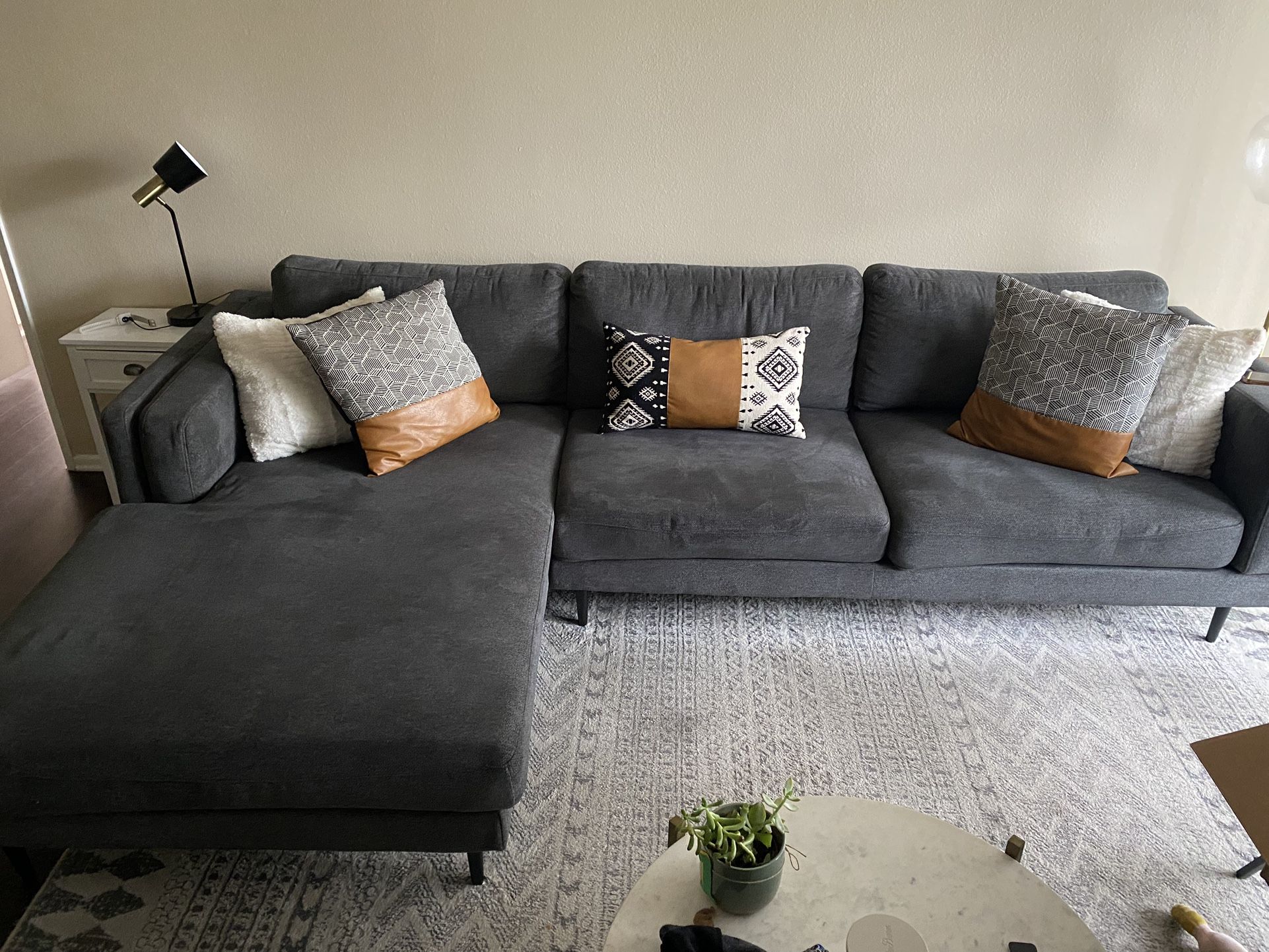 Living Spaces Couch!