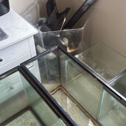 Acrylic 55g Hexagon Tank W Stand 