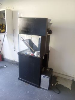 Fresh salt water tank with everything you need