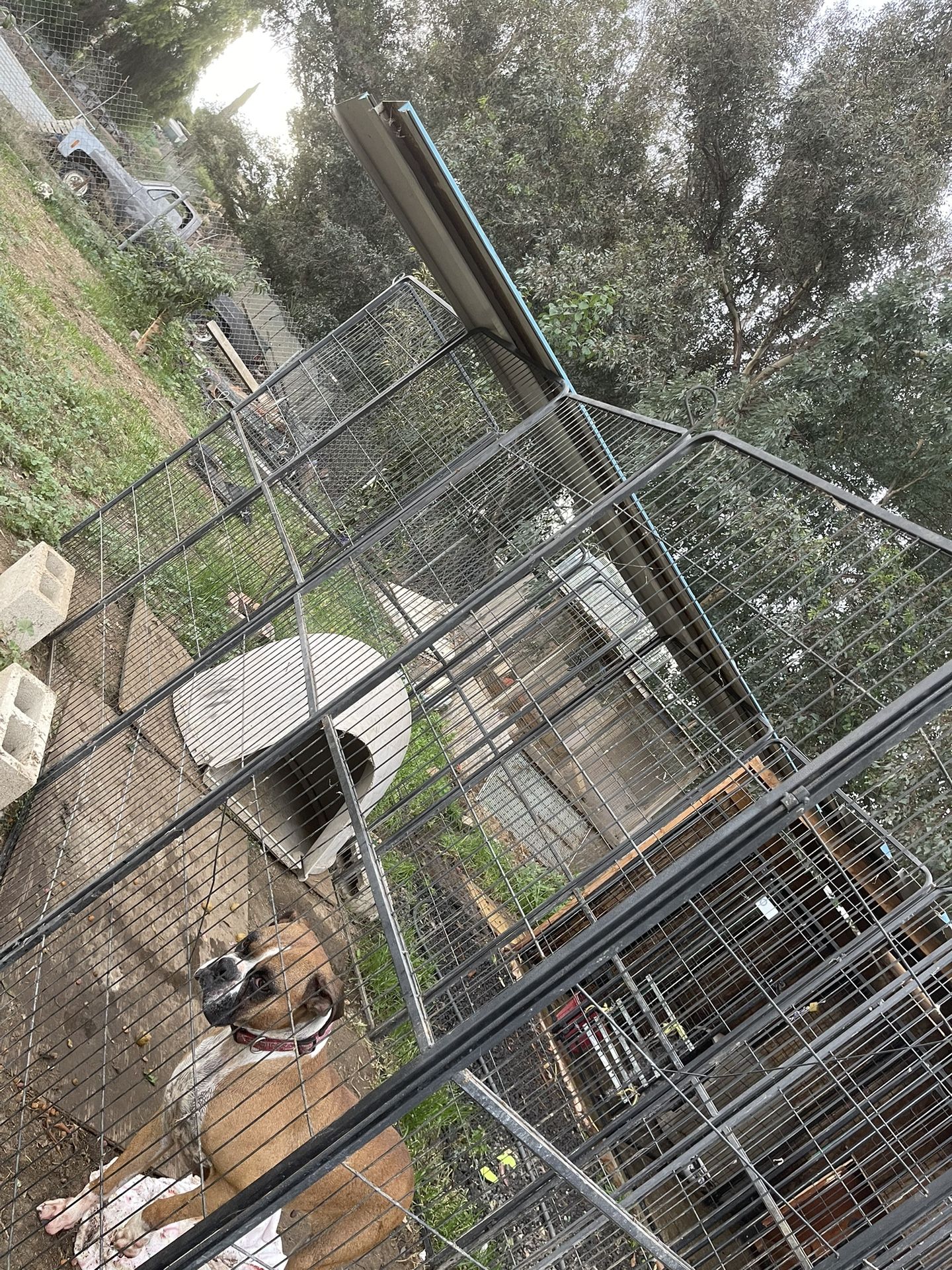 Dog Kennel for Sale in Riverside County, CA OfferUp