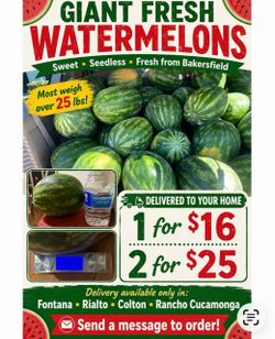 Big Watermelons