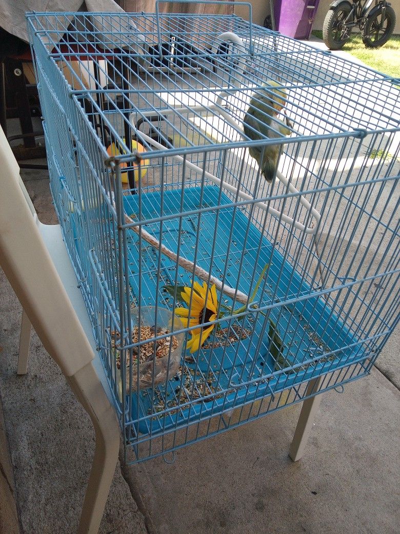 Bird Cage