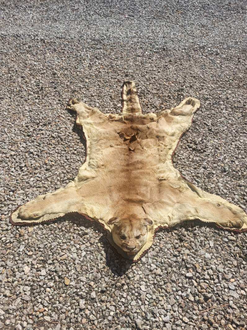 Man Cave Rug