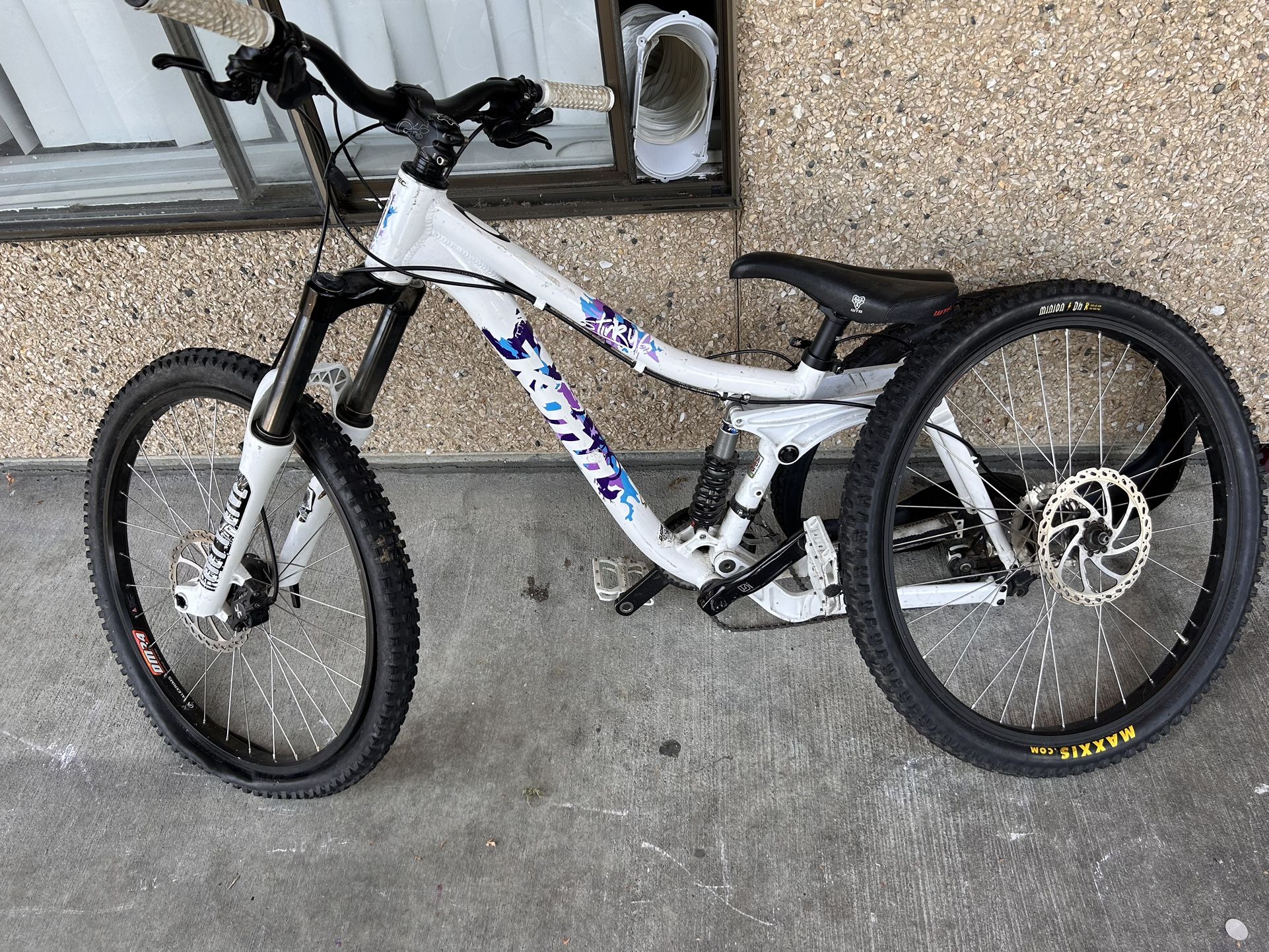 Claire's 2009 Kona Stinky 6