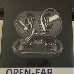 AI Translating Earbuds