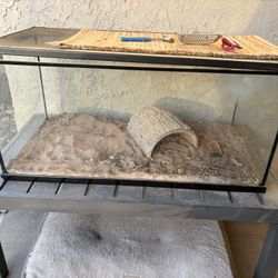 50 Gallon Tank 