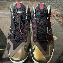 LeBron 11’s “kings Pride” Color Way, Size 11 