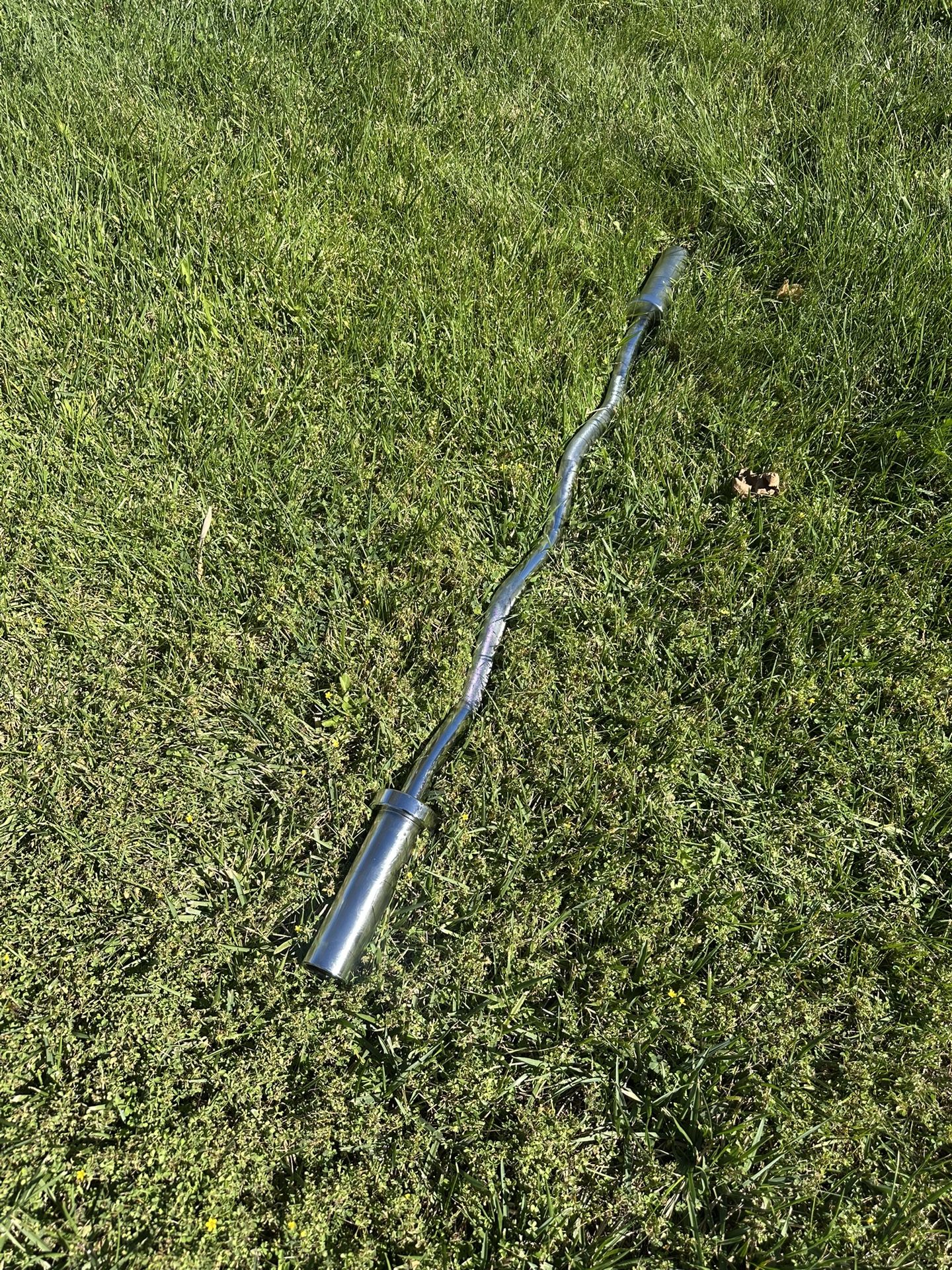 Olympic Curl bar 