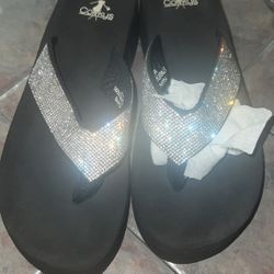 Women’s Flip-Flops