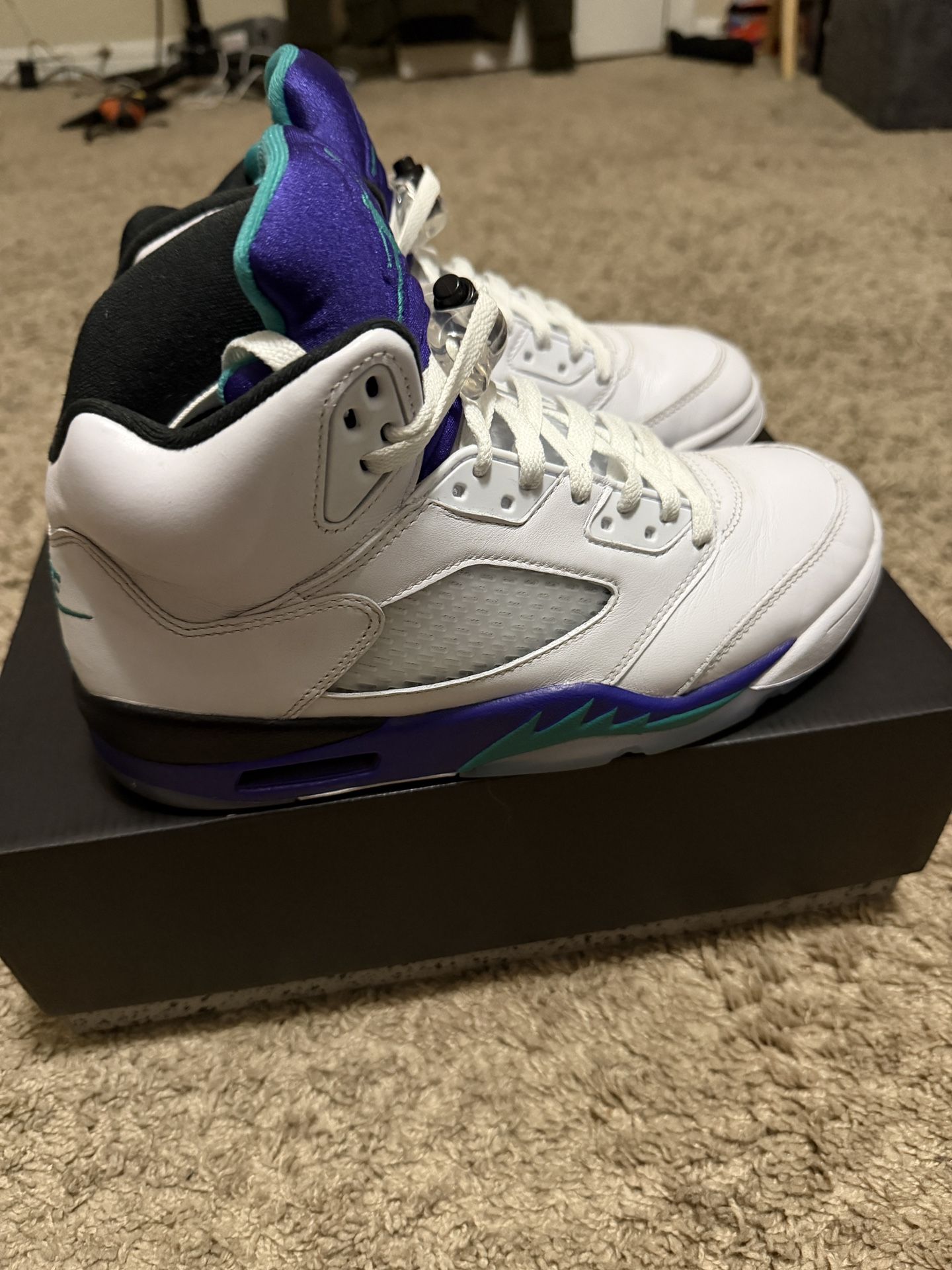 Jordan 5 Grape