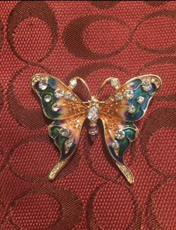 Beautiful butterfly pin