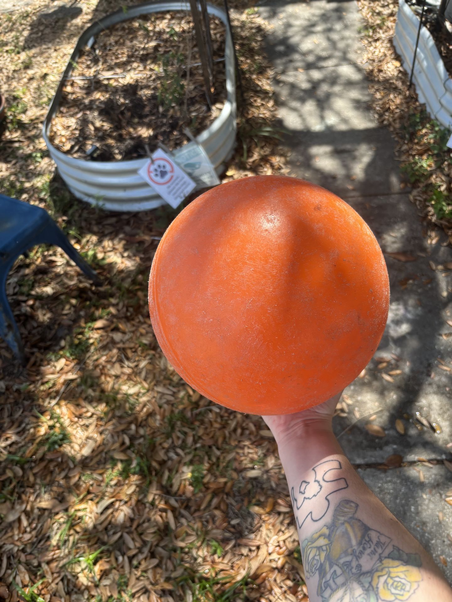 Large dog/horse ball