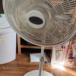 Free Pedistal Fan