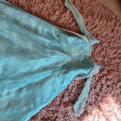 Elsa Dress/Costume 