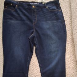 The PLATINUM JEGGING by Chicos