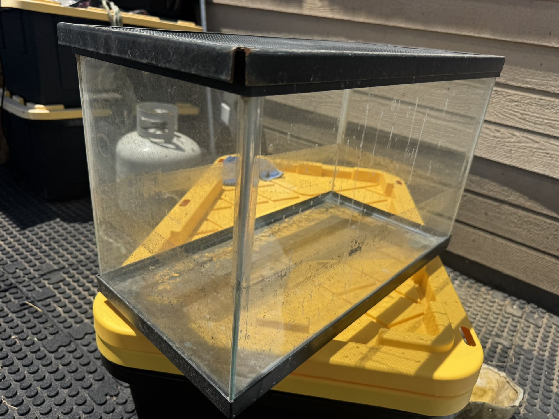 Fish Tank