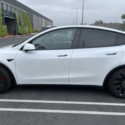 Tesla Model Y Performance
