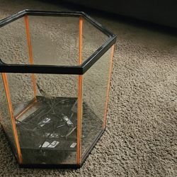 8 Gallon Hex Aquarium