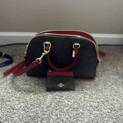 Coach Bag 