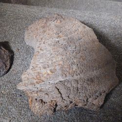 WHAT ARE THESE ANYONE KNOW?