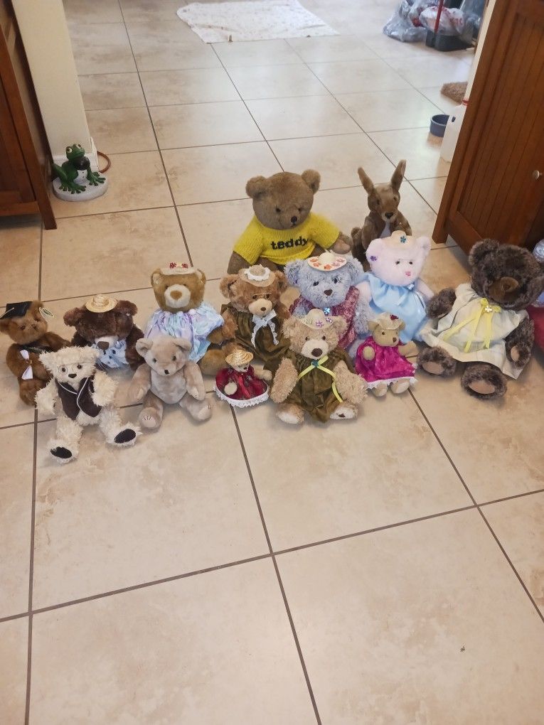 Bears