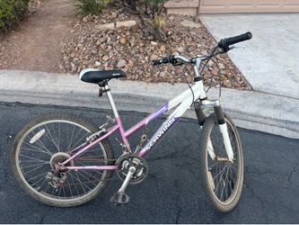 Schwinn Ranger 2.4