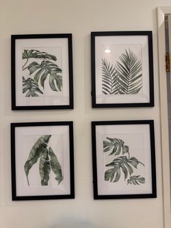 Framed Pictures (4)