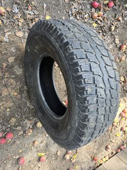 Winter cat Radial 5ST1165