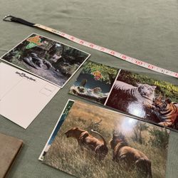disneyworld postcards