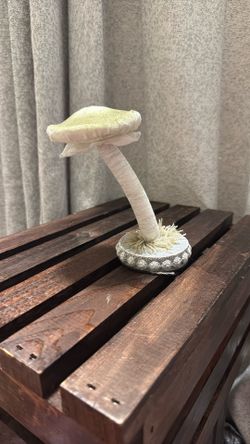 Sturdy Mushroom Decor