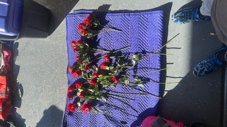 Rose Bunch