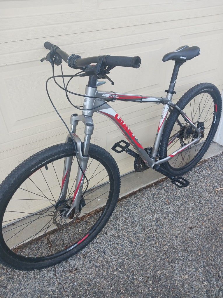 29er Mountain Bike Giant Hydraulic Disc Brakes L