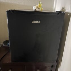 Personal freezer /refrigerator