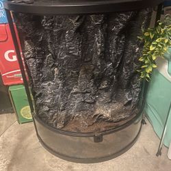 Terrarium 