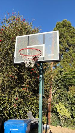 Free basketball backboard, rim , and stand