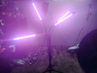 Flexible grow light with timer